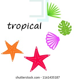 starfish shell tropical plant vector background