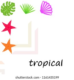 starfish shell tropical plant vector background