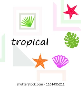 starfish shell tropical plant vector background