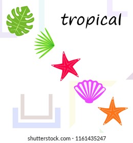 starfish shell tropical plant vector background