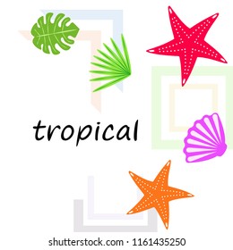 starfish shell tropical plant vector background