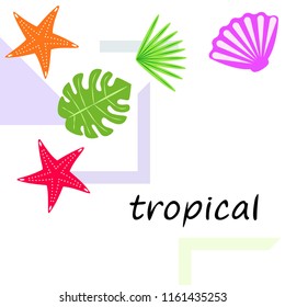 starfish shell tropical plant vector background