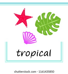 starfish shell tropical plant vector background