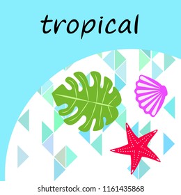 starfish shell tropical plant vector background