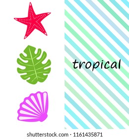 starfish shell tropical plant vector background