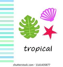 starfish shell tropical plant vector background