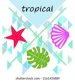starfish shell tropical plant vector background