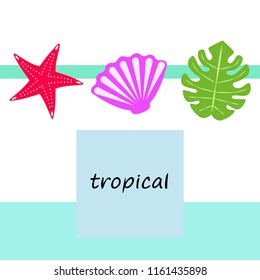 starfish shell tropical plant vector background
