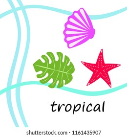 starfish shell tropical plant vector background
