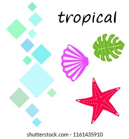 starfish shell tropical plant vector background