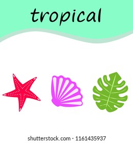 starfish shell tropical plant vector background