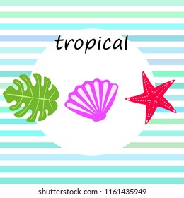 starfish shell tropical plant vector background