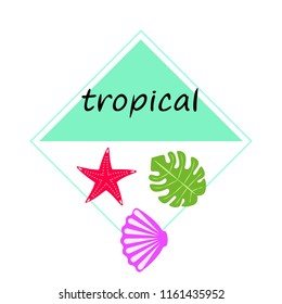 starfish shell tropical plant vector background
