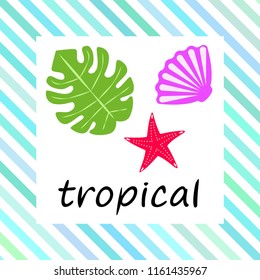 starfish shell tropical plant vector background