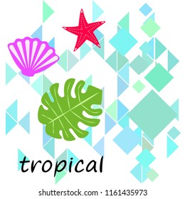 starfish shell tropical plant vector background