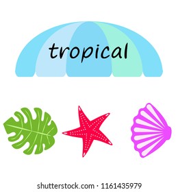 starfish shell tropical plant vector background