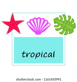 starfish shell tropical plant vector background
