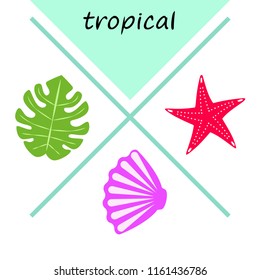 starfish shell tropical plant vector background