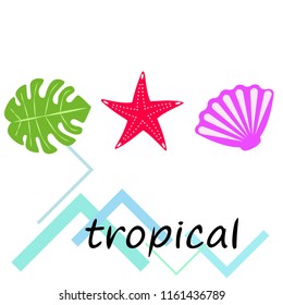 starfish shell tropical plant vector background