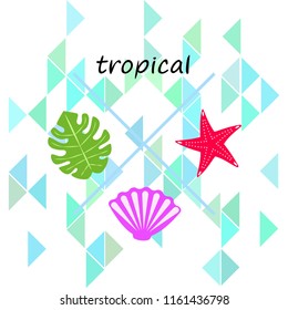 starfish shell tropical plant vector background
