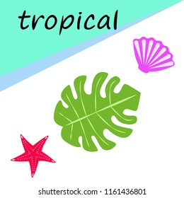 starfish shell tropical plant vector background