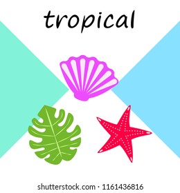 starfish shell tropical plant vector background