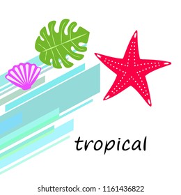 starfish shell tropical plant vector background