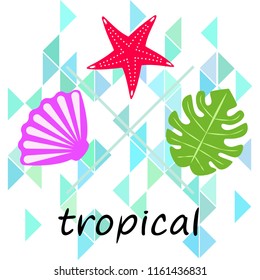 starfish shell tropical plant vector background