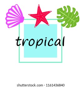 starfish shell tropical plant vector background
