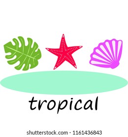 starfish shell tropical plant vector background
