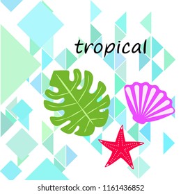starfish shell tropical plant vector background