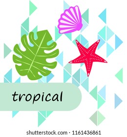 starfish shell tropical plant vector background