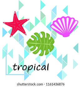 starfish shell tropical plant vector background