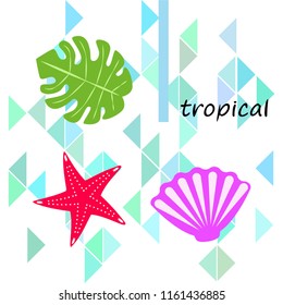 starfish shell tropical plant vector background