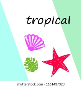 starfish shell tropical plant vector background