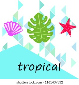 starfish shell tropical plant vector background