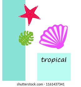 starfish shell tropical plant vector background