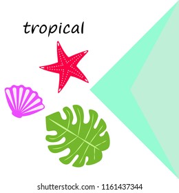 starfish shell tropical plant vector background