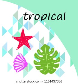 starfish shell tropical plant vector background