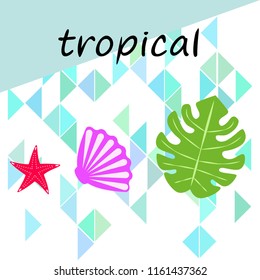 starfish shell tropical plant vector background