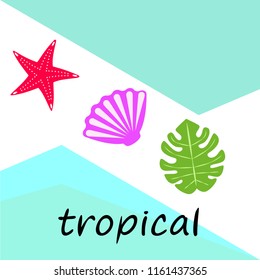 starfish shell tropical plant vector background
