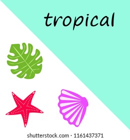 starfish shell tropical plant vector background