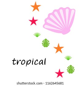 starfish shell tropical plant vector background