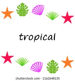 starfish shell tropical plant vector background