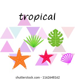starfish shell tropical plant vector background