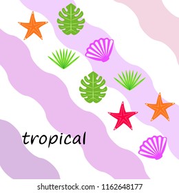 starfish shell tropical plant vector background