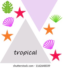starfish shell tropical plant vector background