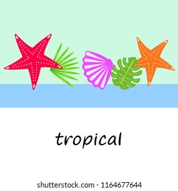 starfish shell tropical plant vector background