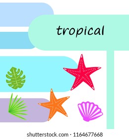 starfish shell tropical plant vector background