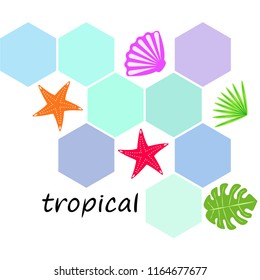 starfish shell tropical plant vector background